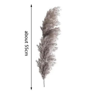 55 cm Naravnih Reed Posušen Cvet Big Pampe Travo Poročno Dekoracijo Cvet Naravnih Phragmites 1pc